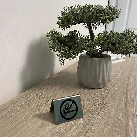 Green Studio Apartment