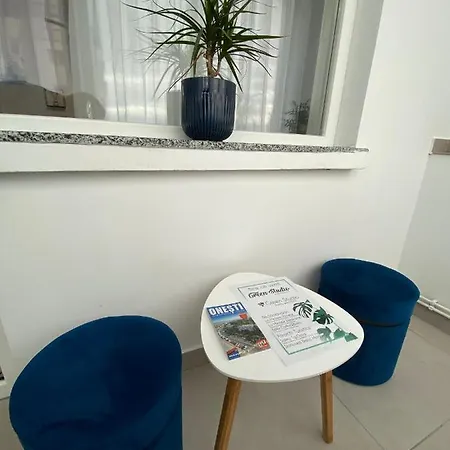Green Studio Apartment